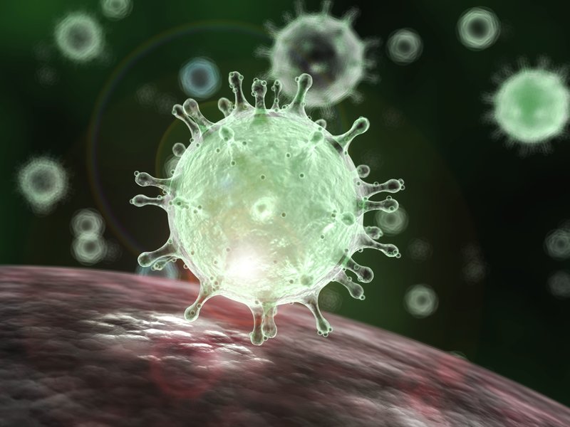 Coronavirus: ¿Que es y Cuales son sus Causas?