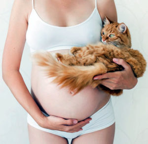 embarazada con gato
